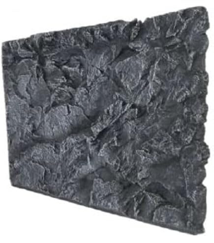 Amazon.co.jp: 3045 2枚 GEX バックボード エキゾテラ グラス